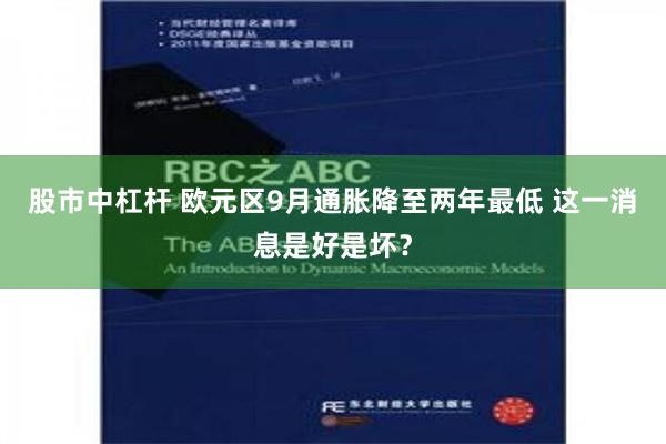 股市中杠杆 欧元区9月通胀降至两年最低 这一消息是好是坏？
