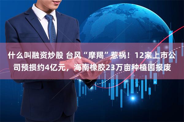 什么叫融资炒股 台风“摩羯”惹祸！12家上市公司预损约4亿元，海南橡胶23万亩种植园报废