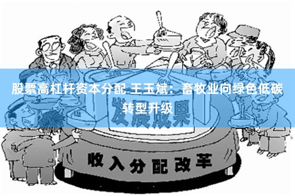 股票高杠杆资本分配 王玉斌：畜牧业向绿色低碳转型升级