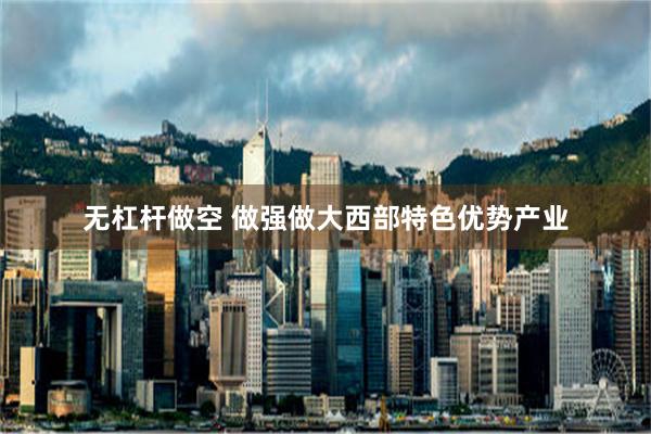 无杠杆做空 做强做大西部特色优势产业