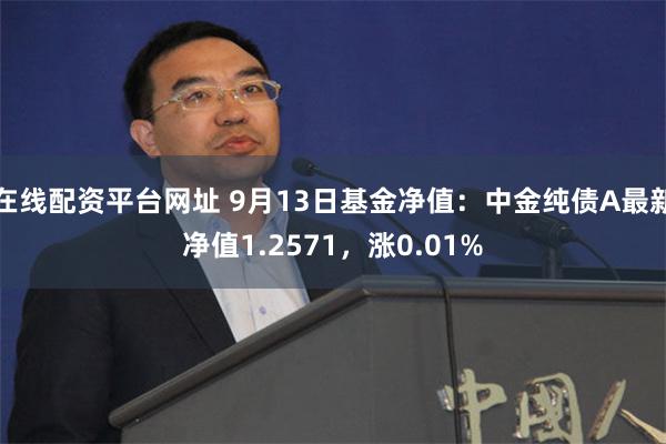 在线配资平台网址 9月13日基金净值：中金纯债A最新净值1.2571，涨0.01%