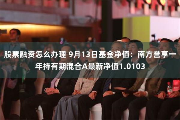 股票融资怎么办理 9月13日基金净值：南方誉享一年持有期混合A最新净值1.0103