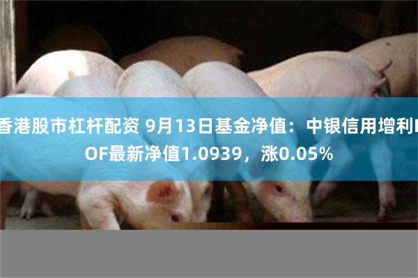 香港股市杠杆配资 9月13日基金净值：中银信用增利LOF最新净值1.0939，涨0.05%