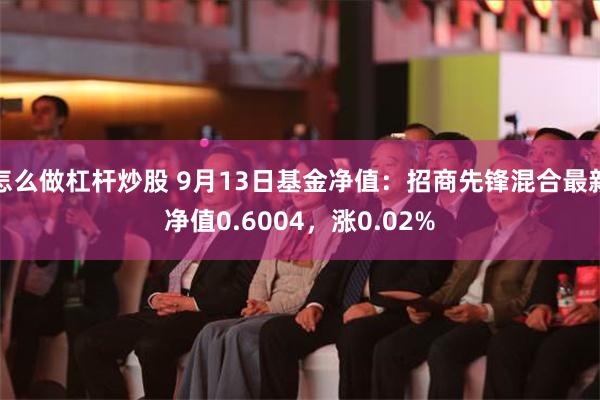 怎么做杠杆炒股 9月13日基金净值：招商先锋混合最新净值0.6004，涨0.02%