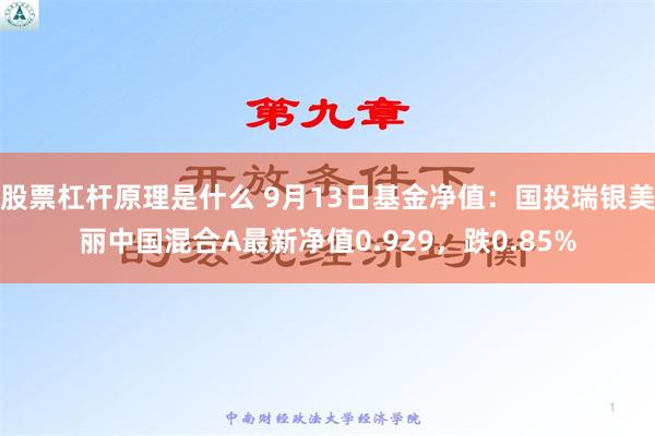 股票杠杆原理是什么 9月13日基金净值：国投瑞银美丽中国混合A最新净值0.929，跌0.85%