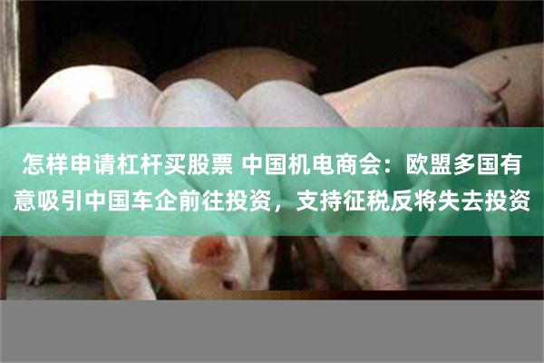 怎样申请杠杆买股票 中国机电商会：欧盟多国有意吸引中国车企前往投资，支持征税反将失去投资