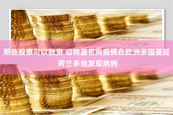那些股票可以融资 动物蓝舌病疫情在欧洲多国蔓延 荷兰多地发现病例