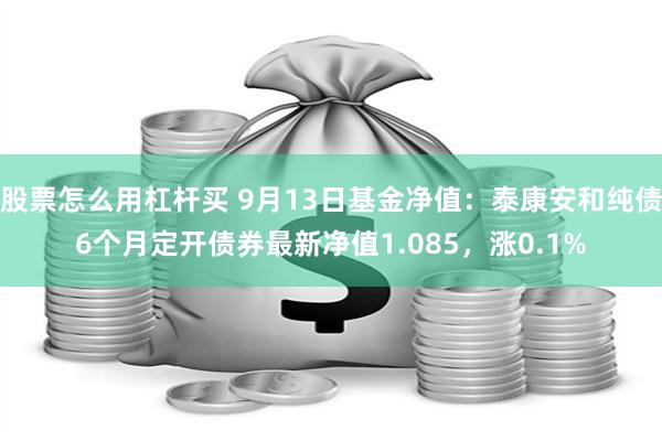 股票怎么用杠杆买 9月13日基金净值：泰康安和纯债6个月定开债券最新净值1.085，涨0.1%