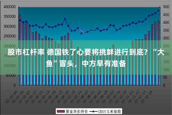 股市杠杆率 德国铁了心要将挑衅进行到底？“大鱼”冒头，中方早有准备