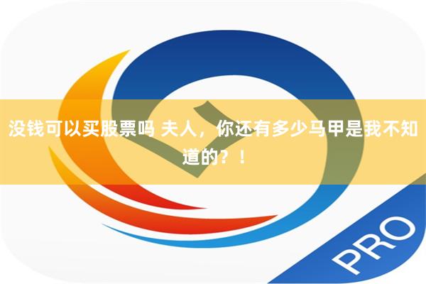 没钱可以买股票吗 夫人，你还有多少马甲是我不知道的？！