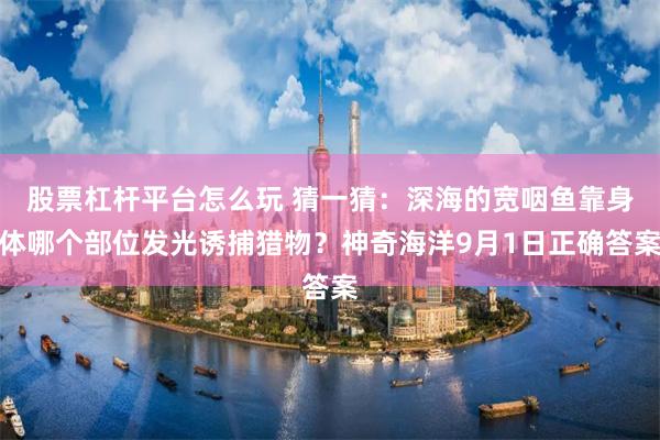 股票杠杆平台怎么玩 猜一猜：深海的宽咽鱼靠身体哪个部位发光诱捕猎物？神奇海洋9月1日正确答案