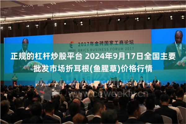 正规的杠杆炒股平台 2024年9月17日全国主要批发市场折耳根(鱼腥草)价格行情