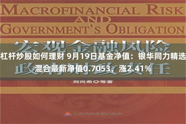 杠杆炒股如何理财 9月19日基金净值：银华同力精选混合最新净值0.7053，涨2.41%