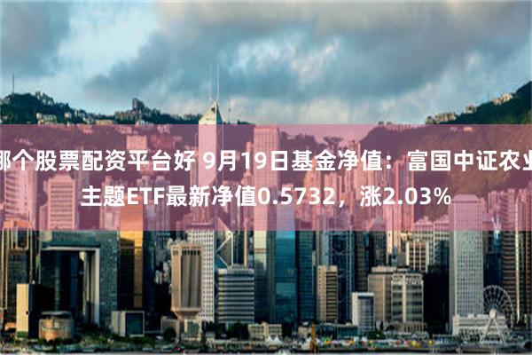哪个股票配资平台好 9月19日基金净值：富国中证农业主题ETF最新净值0.5732，涨2.03%