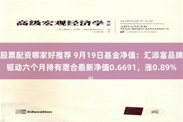 股票配资哪家好推荐 9月19日基金净值：汇添富品牌驱动六个月持有混合最新净值0.6691，涨0.89%