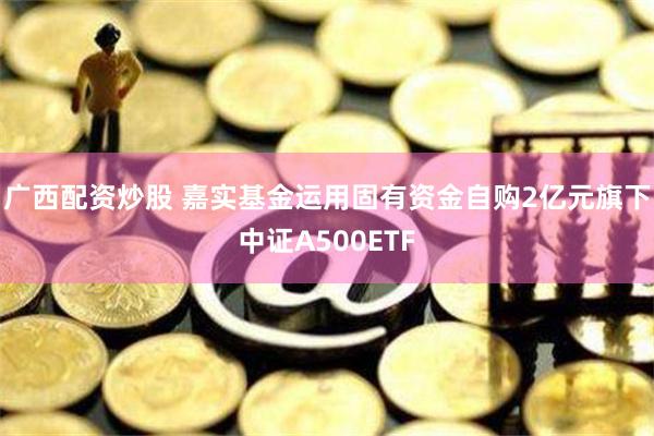 广西配资炒股 嘉实基金运用固有资金自购2亿元旗下中证A500ETF