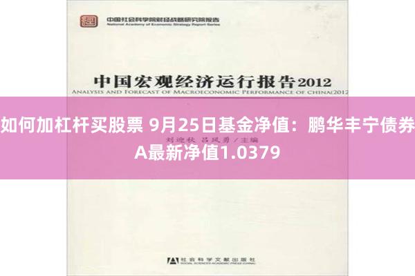 如何加杠杆买股票 9月25日基金净值：鹏华丰宁债券A最新净值1.0379