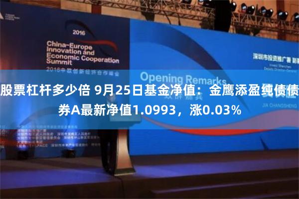 股票杠杆多少倍 9月25日基金净值：金鹰添盈纯债债券A最新净值1.0993，涨0.03%
