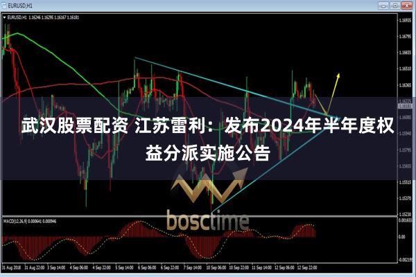 武汉股票配资 江苏雷利：发布2024年半年度权益分派实施公告
