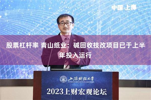 股票杠杆率 青山纸业：碱回收技改项目已于上半年投入运行
