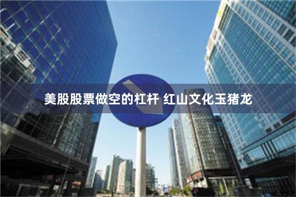 美股股票做空的杠杆 红山文化玉猪龙