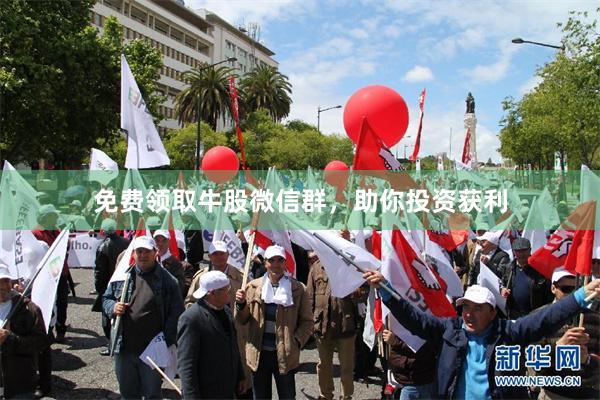 免费领取牛股微信群，助你投资获利