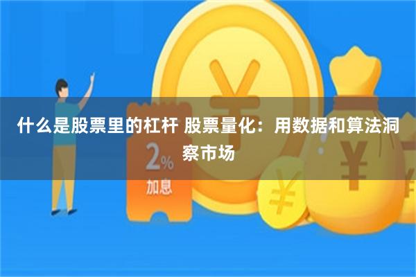 什么是股票里的杠杆 股票量化：用数据和算法洞察市场