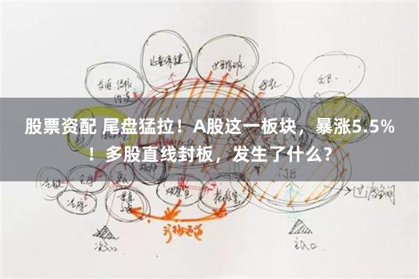 股票资配 尾盘猛拉！A股这一板块，暴涨5.5%！多股直线封板，发生了什么？