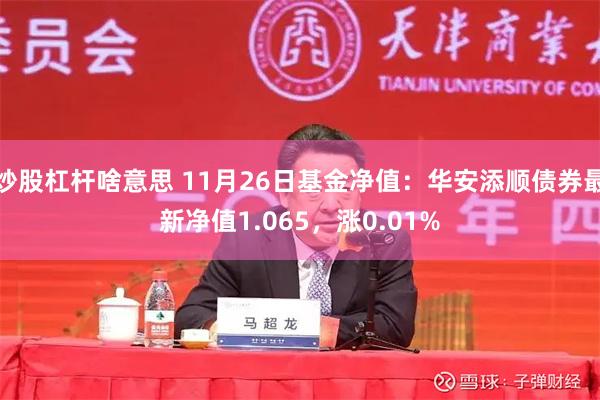 炒股杠杆啥意思 11月26日基金净值：华安添顺债券最新净值1.065，涨0.01%