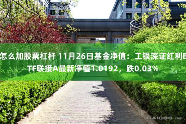 怎么加股票杠杆 11月26日基金净值：工银深证红利ETF联接A最新净值1.0192，跌0.03%