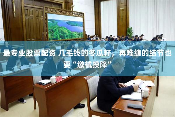 最专业股票配资 几毛钱的冬瓜籽，再难缠的结节也要“缴械投降”