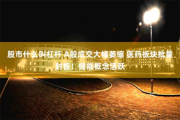 股市什么叫杠杆 A股成交大幅萎缩 医药板块批量封板！储能概念活跃