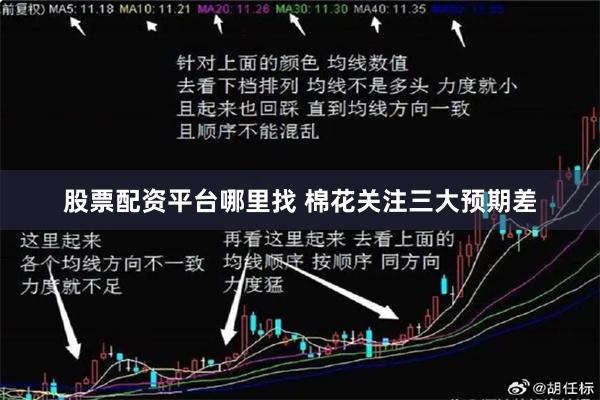 股票配资平台哪里找 棉花关注三大预期差