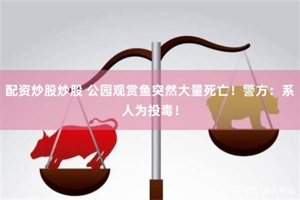 配资炒股炒股 公园观赏鱼突然大量死亡！警方：系人为投毒！