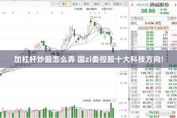 加杠杆炒股怎么弄 国zi委控股十大科技方向!