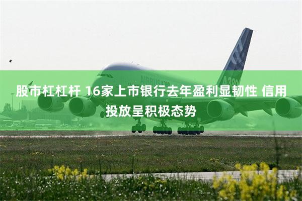 股市杠杠杆 16家上市银行去年盈利显韧性 信用投放呈积极态势