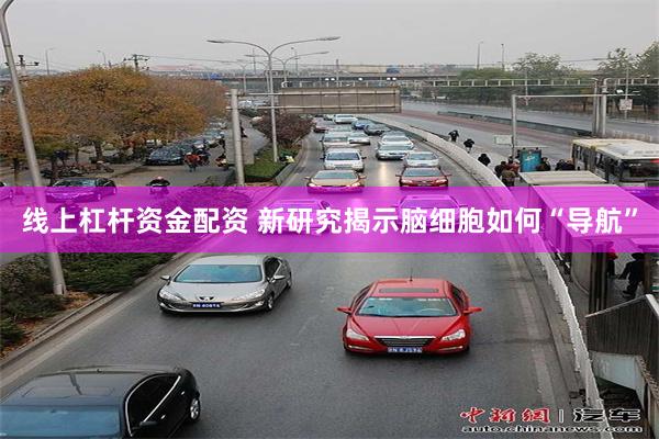 线上杠杆资金配资 新研究揭示脑细胞如何“导航”