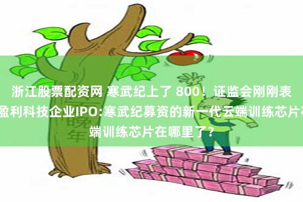 浙江股票配资网 寒武纪上了 800！证监会刚刚表态支持未盈利科技企业IPO:寒武纪募资的新一代云端训练芯片在哪里了？