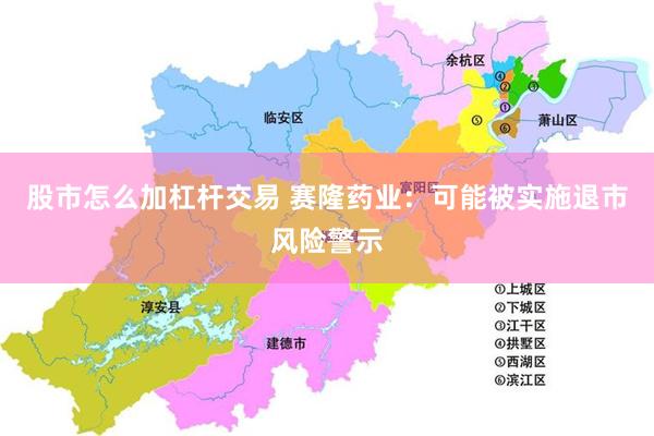 股市怎么加杠杆交易 赛隆药业：可能被实施退市风险警示