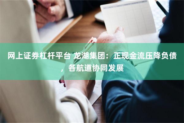 网上证劵杠杆平台 龙湖集团：正现金流压降负债，各航道协同发展