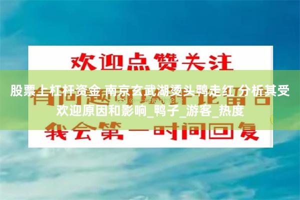 股票上杠杆资金 南京玄武湖烫头鸭走红 分析其受欢迎原因和影响_鸭子_游客_热度