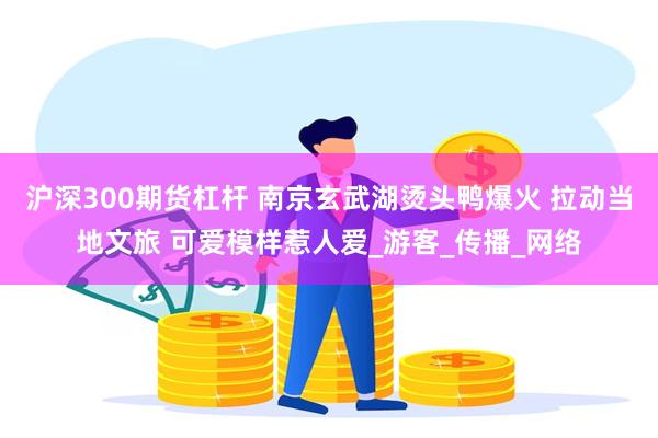 沪深300期货杠杆 南京玄武湖烫头鸭爆火 拉动当地文旅 可爱模样惹人爱_游客_传播_网络