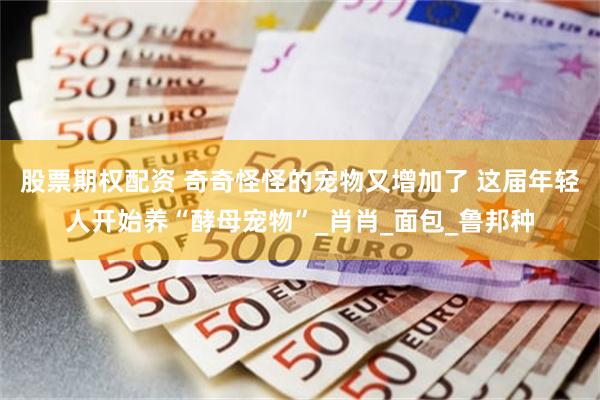 股票期权配资 奇奇怪怪的宠物又增加了 这届年轻人开始养“酵母宠物”_肖肖_面包_鲁邦种