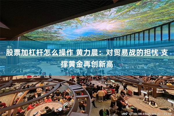 股票加杠杆怎么操作 黄力晨：对贸易战的担忧 支撑黄金再创新高
