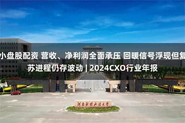 小盘股配资 营收、净利润全面承压 回暖信号浮现但复苏进程仍存波动 | 2024CXO行业年报
