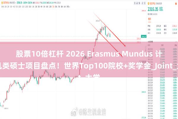 股票10倍杠杆 2026 Erasmus Mundus 计算机类硕士项目盘点！世界Top100院校+奖学金_Joint_大学