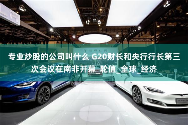 专业炒股的公司叫什么 G20财长和央行行长第三次会议在南非开幕_轮值_全球_经济