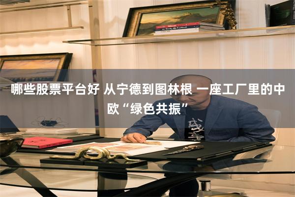 哪些股票平台好 从宁德到图林根 一座工厂里的中欧“绿色共振”
