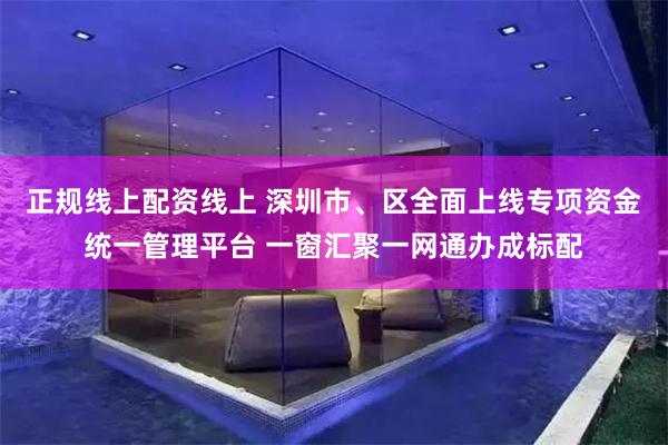 正规线上配资线上 深圳市、区全面上线专项资金统一管理平台 一窗汇聚一网通办成标配