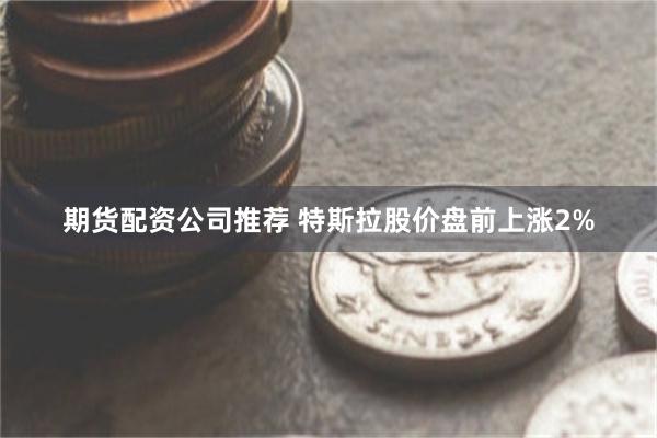 期货配资公司推荐 特斯拉股价盘前上涨2%